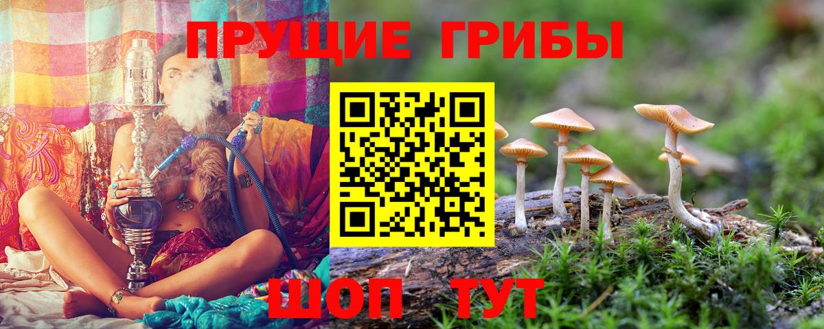 Галлюциногенные грибы прущие грибы  Вход с VPN  Уварово 